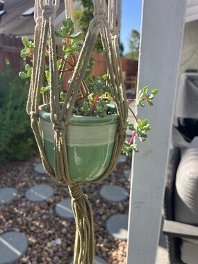 White and Green Macrame Hanging Planter